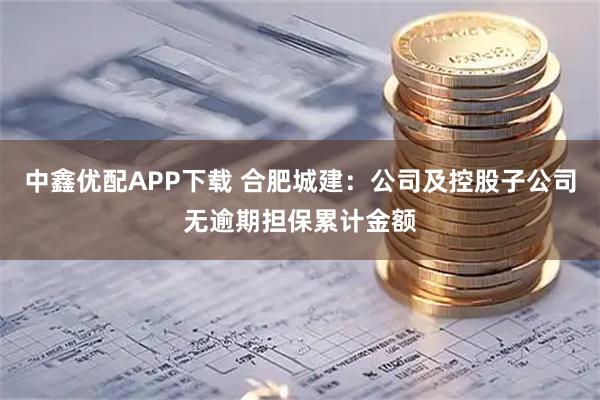 中鑫优配APP下载 合肥城建：公司及控股子公司无逾期担保累计金额