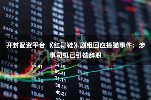 开封配资平台 《红舞鞋》剧组回应撞猫事件：涉事司机已引咎辞职