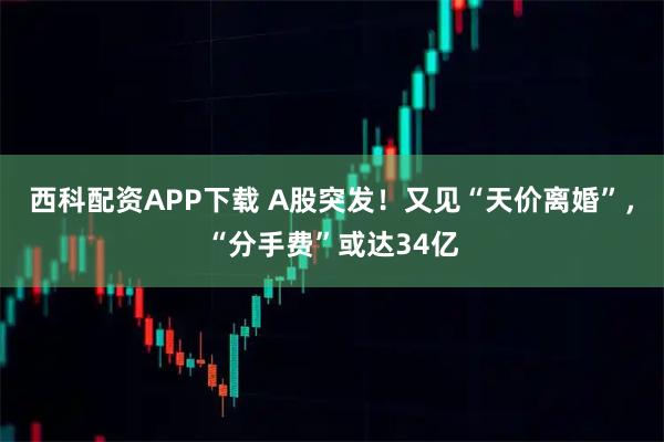 西科配资APP下载 A股突发!又见“天价离婚”,“分手费”或达34亿