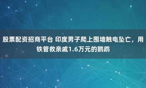 股票配资招商平台 印度男子爬上围墙触电坠亡，用铁管救亲戚1.6万元的鹦鹉