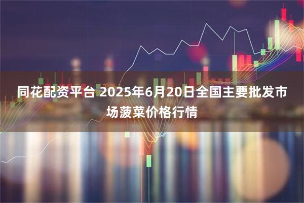 同花配资平台 2025年6月20日全国主要批发市场菠菜价格行情